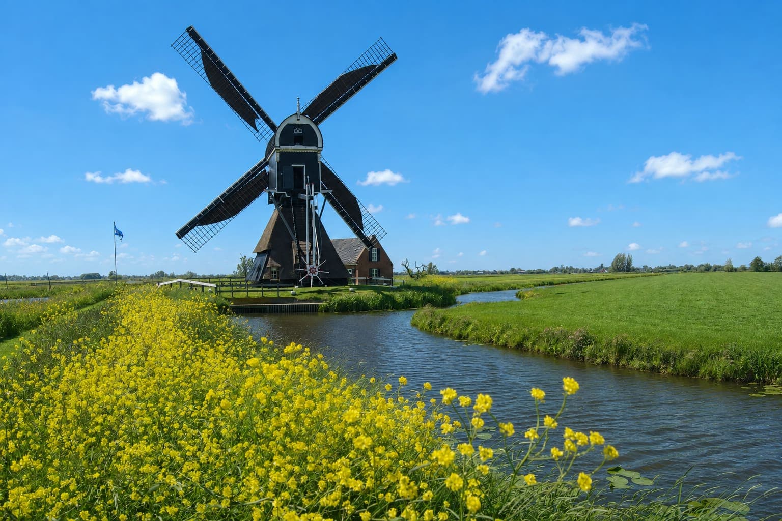 Zwarte molen met vier wieken op een rieten piramidevormige onderbouw, aan een sloot in een weidegebied, met bloeiend geel koolzaad op de voorgrond en een woonhuis met pannendak ernaast.
