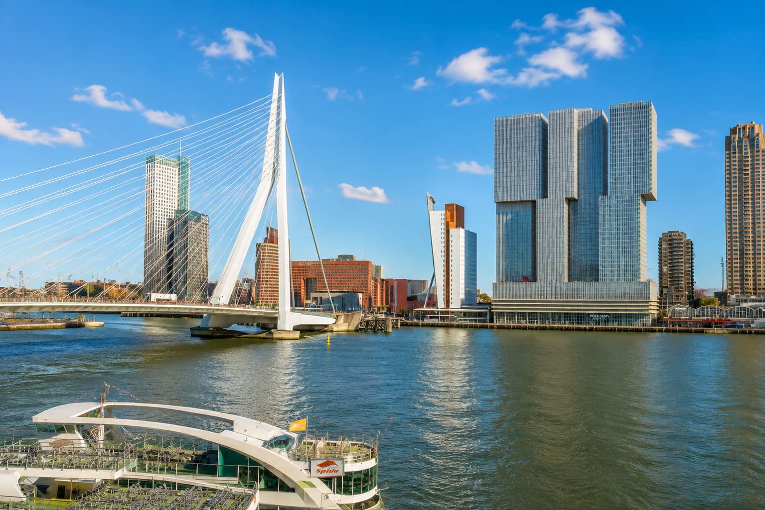 De Erasmusbrug over de Nieuwe Maas, met daarachter de hoogbouw op de Kop van Zuid en een rondvaartboot op de voorgrond.