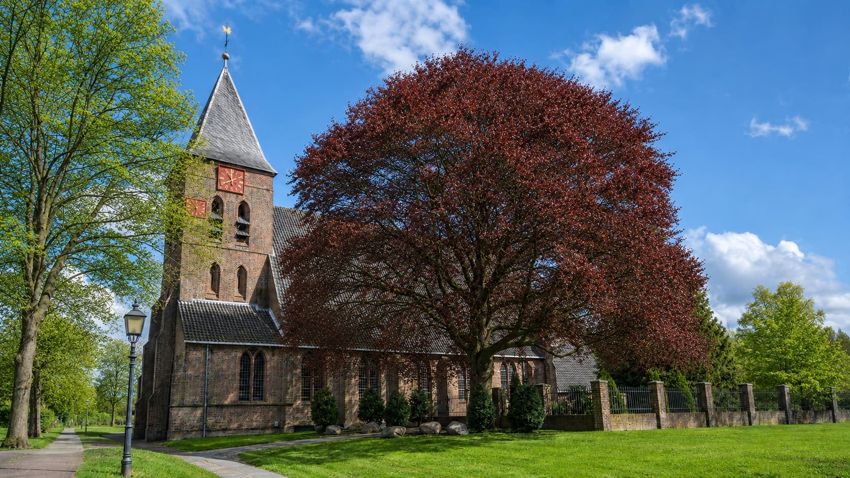 Bakstenen dorpskerk met een toren met rode wijzerplaten en een leien spits, met daarnaast een grote beuk met roodbruin blad en een gazon ervoor.